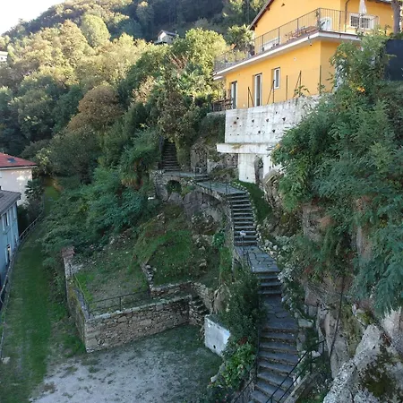 Federico By Maggiore *